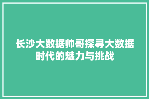 长沙大数据帅哥探寻大数据时代的魅力与挑战  第1张