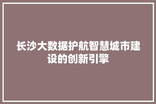 长沙大数据护航智慧城市建设的创新引擎  第1张