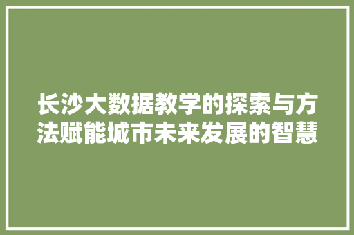 长沙大数据教学的探索与方法赋能城市未来发展的智慧引擎  第1张