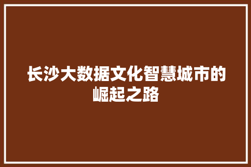 长沙大数据文化智慧城市的崛起之路  第1张