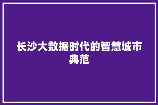 长沙大数据时代的智慧城市典范  第1张