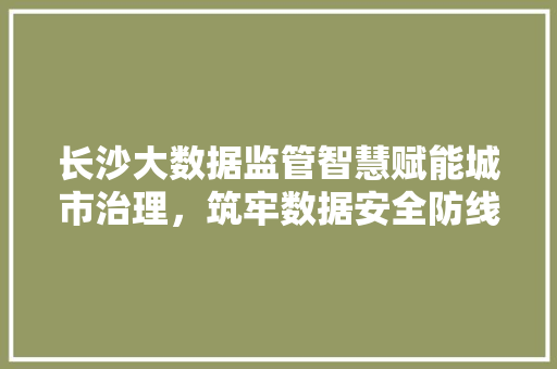 长沙大数据监管智慧赋能城市治理，筑牢数据安全防线