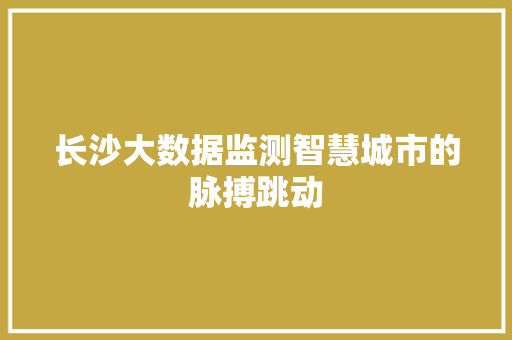 长沙大数据监测智慧城市的脉搏跳动  第1张
