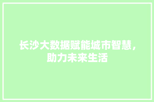 长沙大数据赋能城市智慧，助力未来生活