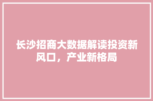 长沙招商大数据解读投资新风口，产业新格局