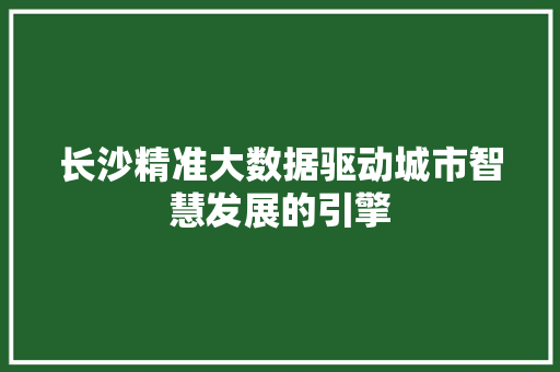 长沙精准大数据驱动城市智慧发展的引擎  第1张