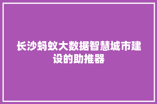 长沙蚂蚁大数据智慧城市建设的助推器