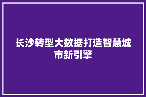 长沙转型大数据打造智慧城市新引擎