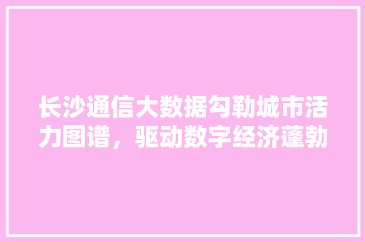长沙通信大数据勾勒城市活力图谱，驱动数字经济蓬勃发展