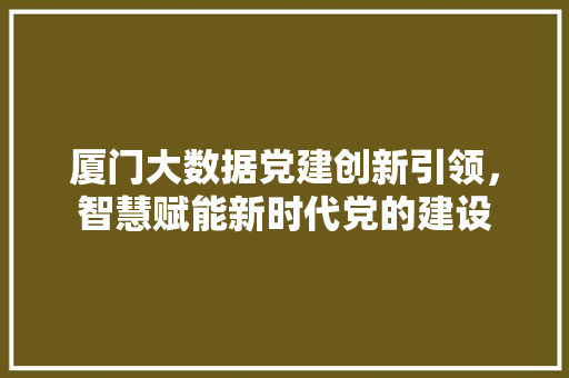 厦门大数据党建创新引领，智慧赋能新时代党的建设