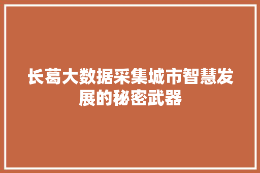 长葛大数据采集城市智慧发展的秘密武器  第1张