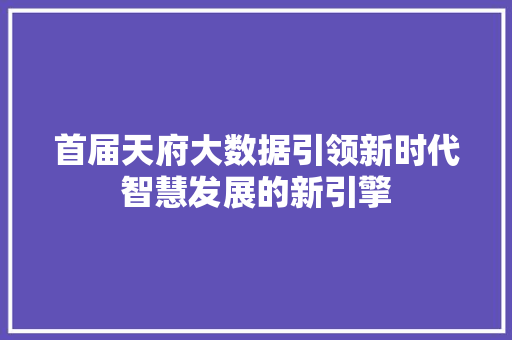 首届天府大数据引领新时代智慧发展的新引擎