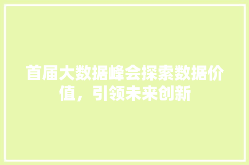 首届大数据峰会探索数据价值，引领未来创新