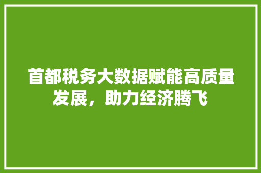 首都税务大数据赋能高质量发展，助力经济腾飞