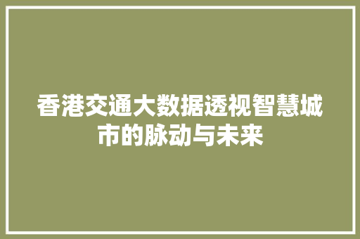 香港交通大数据透视智慧城市的脉动与未来
