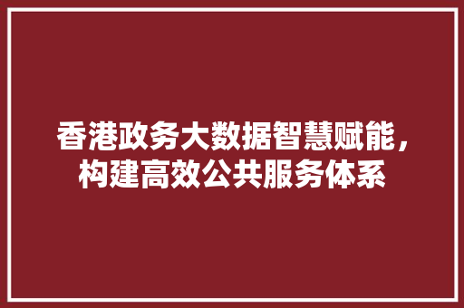 香港政务大数据智慧赋能，构建高效公共服务体系