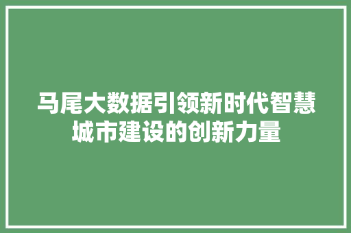 马尾大数据引领新时代智慧城市建设的创新力量