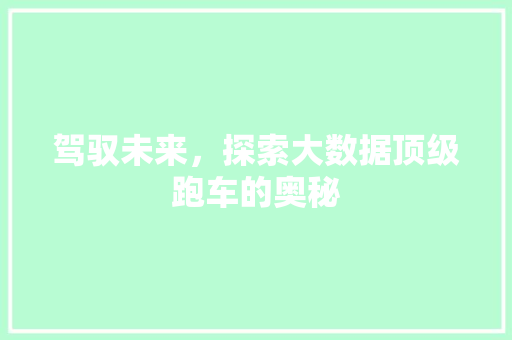 驾驭未来，探索大数据顶级跑车的奥秘  第1张
