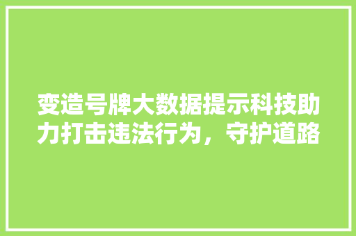 变造号牌大数据提示科技助力打击违法行为，守护道路交通安全