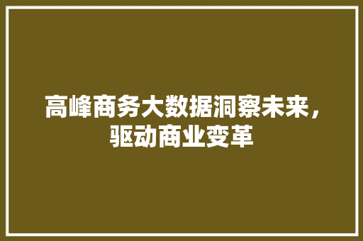 高峰商务大数据洞察未来，驱动商业变革  第1张