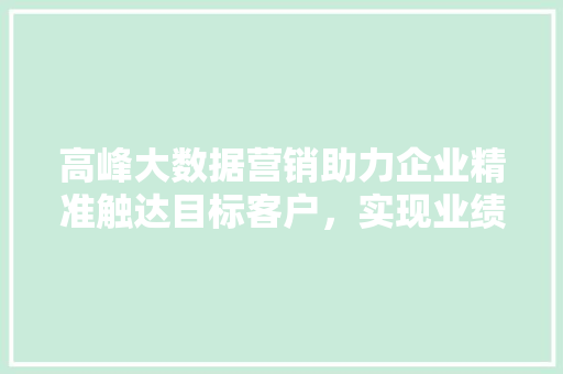 高峰大数据营销助力企业精准触达目标客户，实现业绩飞跃  第1张