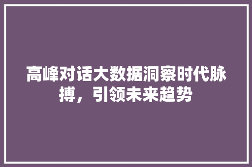 高峰对话大数据洞察时代脉搏，引领未来趋势  第1张