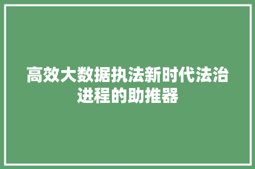 高效大数据执法新时代法治进程的助推器