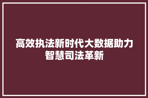 高效执法新时代大数据助力智慧司法革新