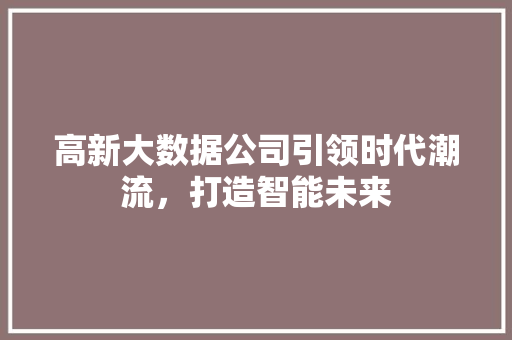 高新大数据公司引领时代潮流，打造智能未来