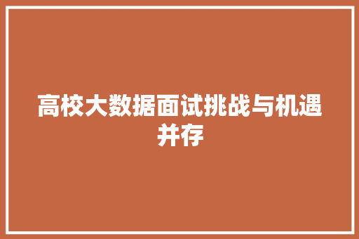 高校大数据面试挑战与机遇并存