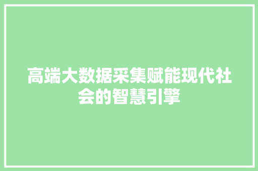 高端大数据采集赋能现代社会的智慧引擎