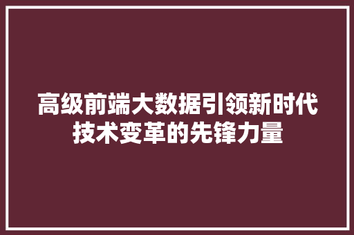 高级前端大数据引领新时代技术变革的先锋力量