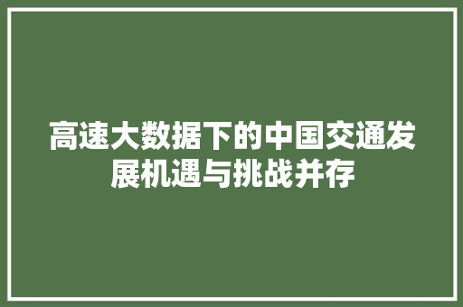 高速大数据下的中国交通发展机遇与挑战并存
