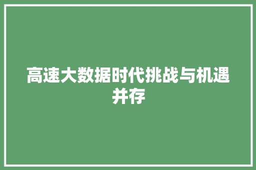高速大数据时代挑战与机遇并存