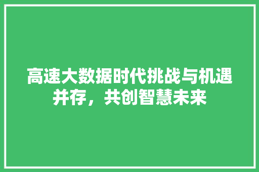 高速大数据时代挑战与机遇并存，共创智慧未来