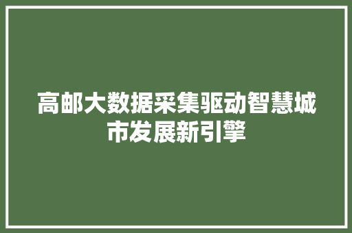 高邮大数据采集驱动智慧城市发展新引擎