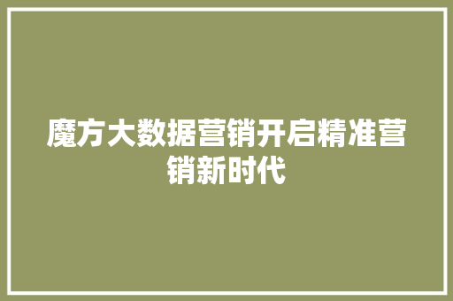 魔方大数据营销开启精准营销新时代