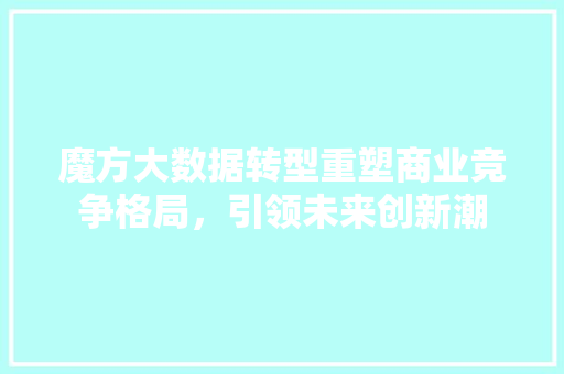 魔方大数据转型重塑商业竞争格局，引领未来创新潮