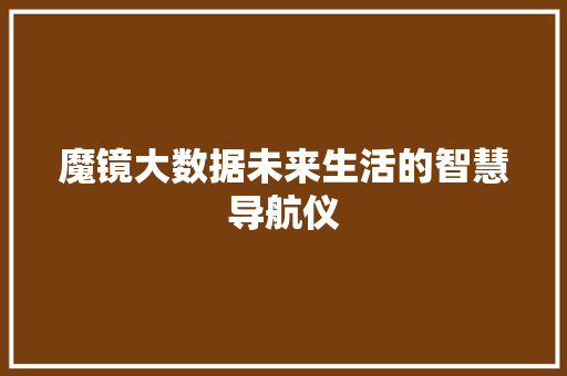 魔镜大数据未来生活的智慧导航仪