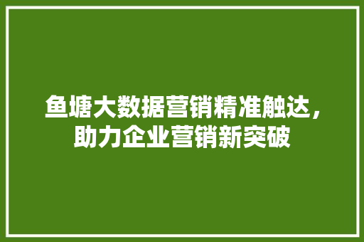 鱼塘大数据营销精准触达，助力企业营销新突破