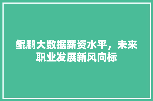 鲲鹏大数据薪资水平，未来职业发展新风向标  第1张