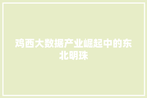 鸡西大数据产业崛起中的东北明珠