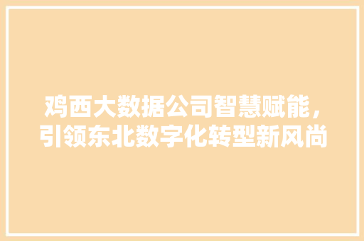 鸡西大数据公司智慧赋能，引领东北数字化转型新风尚