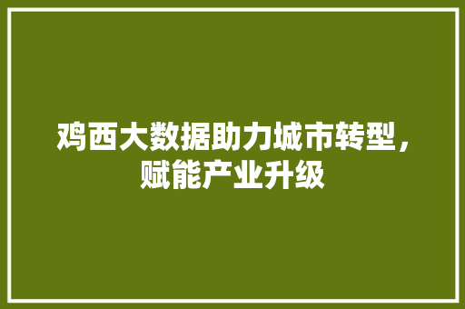 鸡西大数据助力城市转型，赋能产业升级