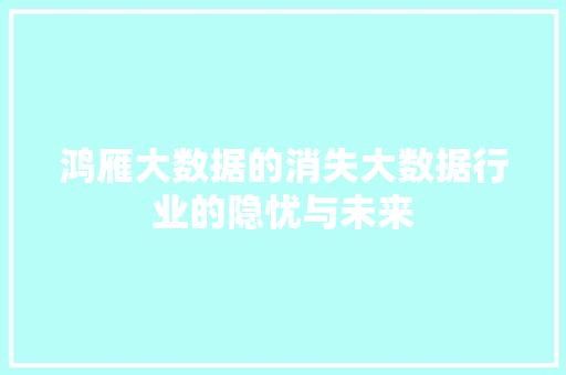 鸿雁大数据的消失大数据行业的隐忧与未来  第1张