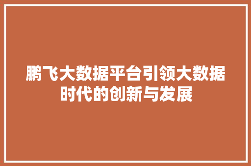 鹏飞大数据平台引领大数据时代的创新与发展  第1张