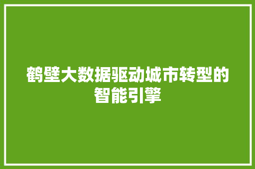 鹤壁大数据驱动城市转型的智能引擎