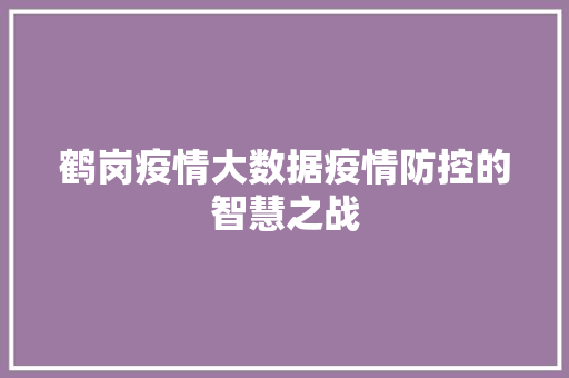 鹤岗疫情大数据疫情防控的智慧之战