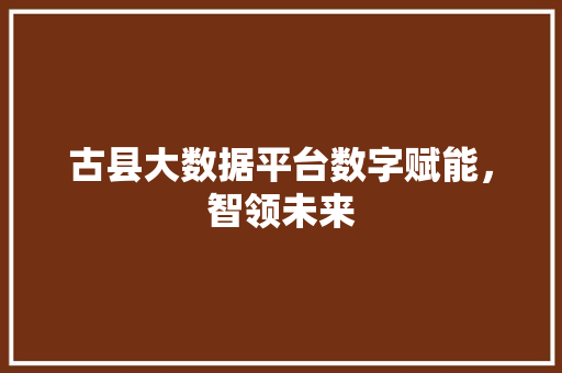 古县大数据平台数字赋能，智领未来