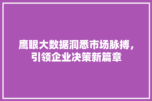 鹰眼大数据洞悉市场脉搏，引领企业决策新篇章